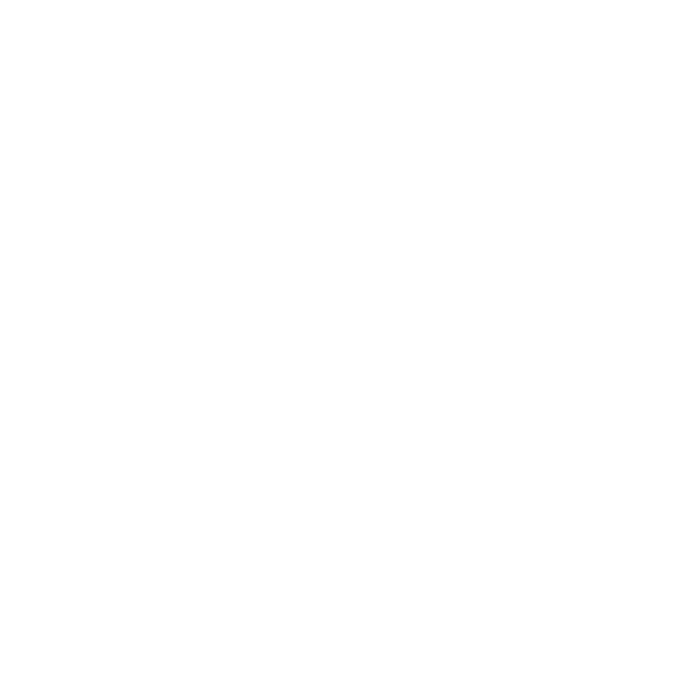 Iconos-02