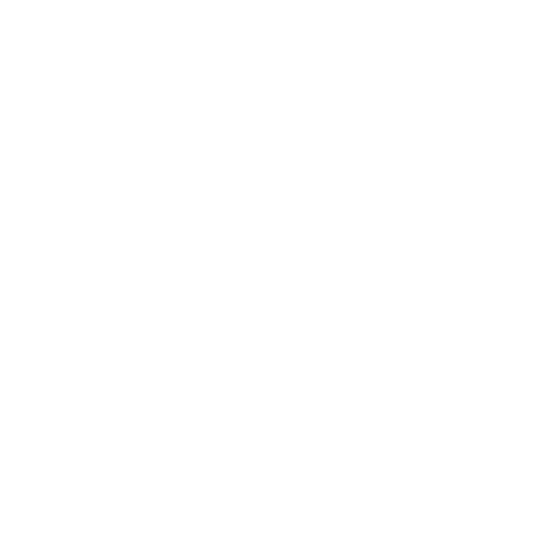 Iconos-03